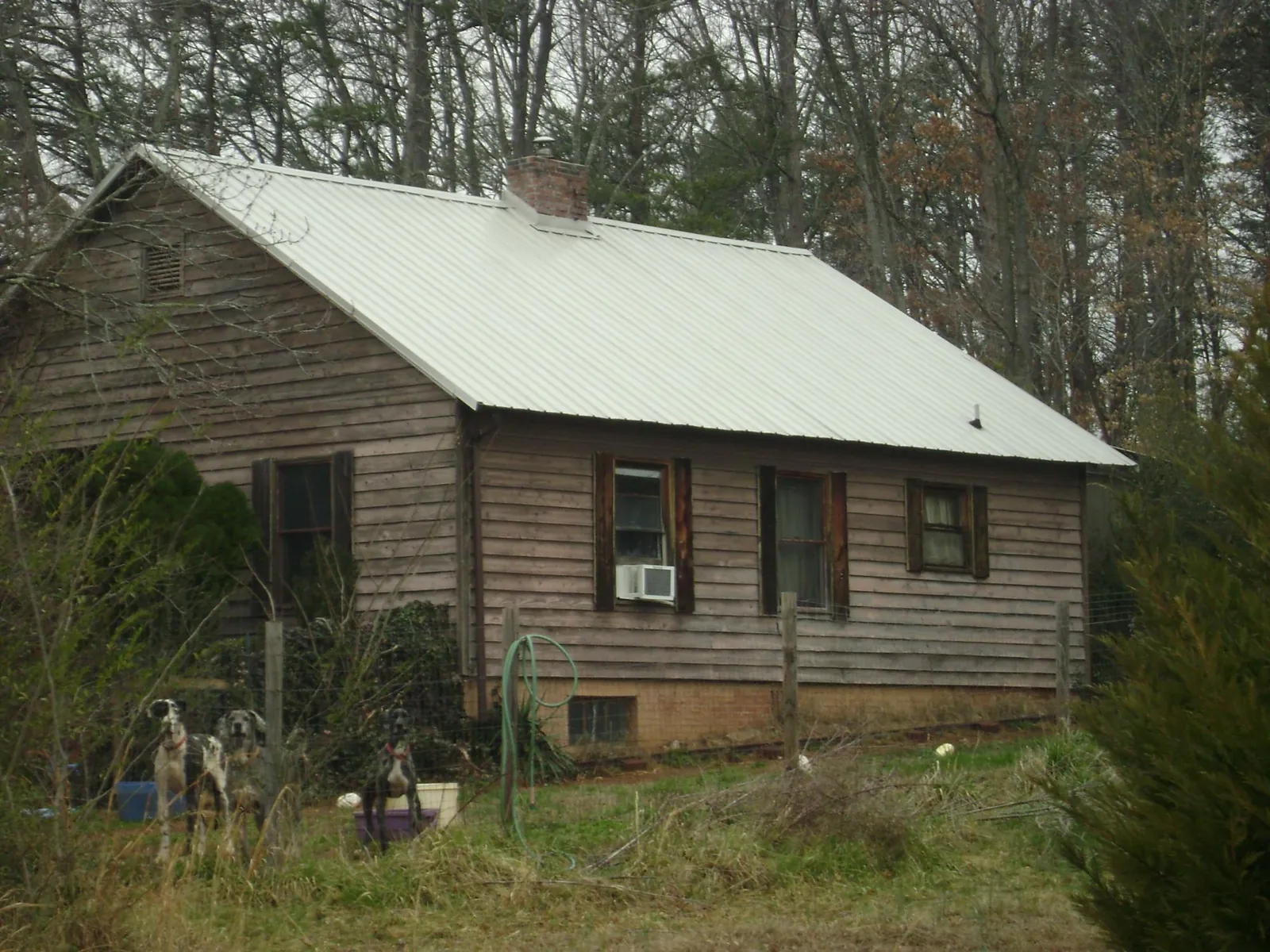 White metal roof on an old wood sided farmhouse, from a Metal Roof Installation job in Gulf Hammock